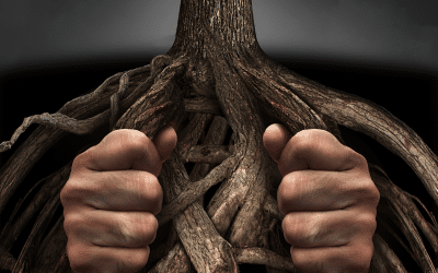 Pain Is Inevitable: Suffering Is Optional