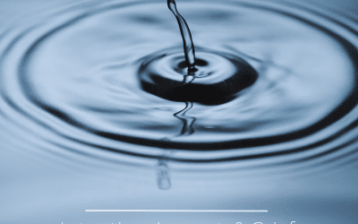 Intention versus Impact and Grief