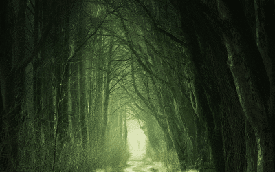 Ways To Overcome Your Fear of Death