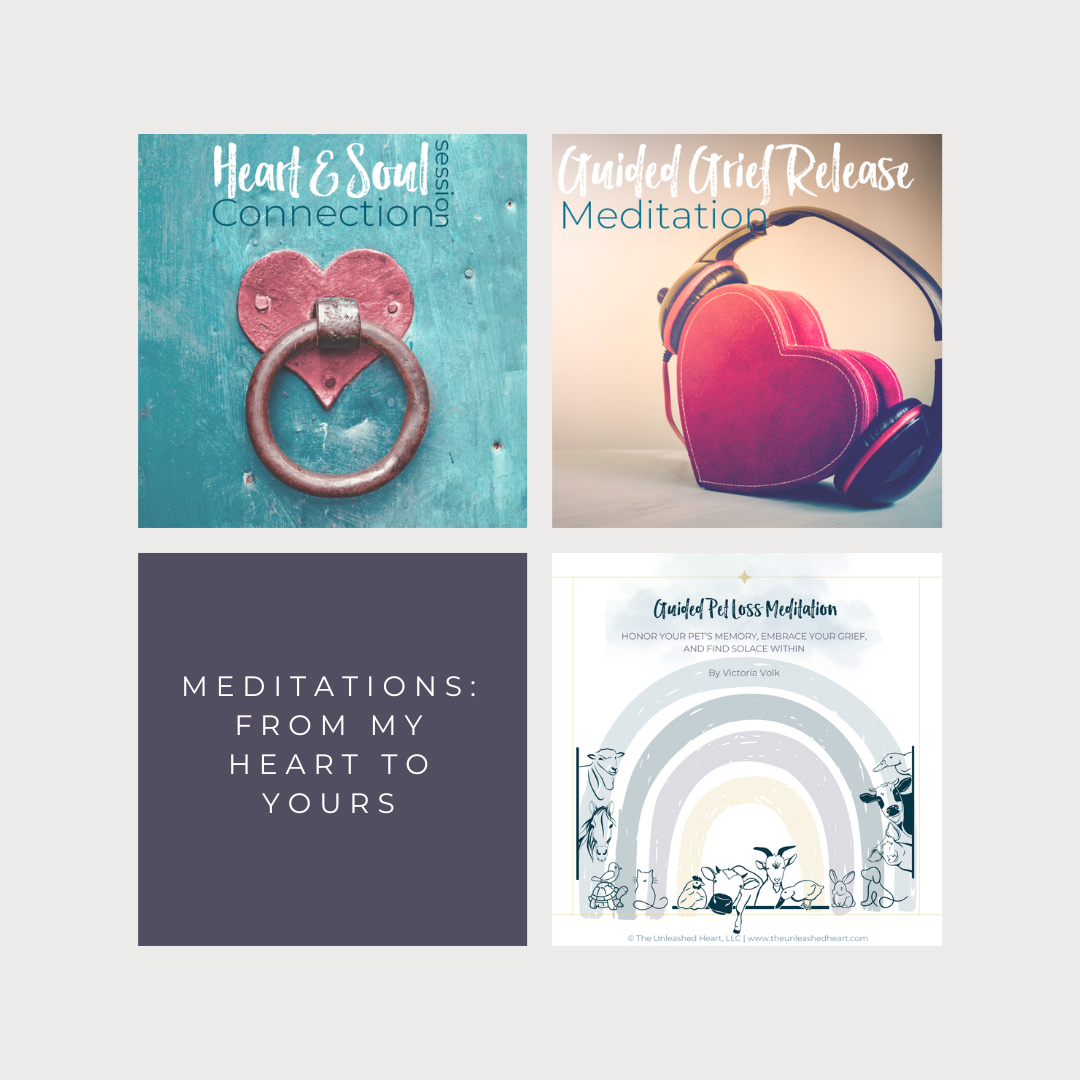 MEDITATIONS MOCKUP